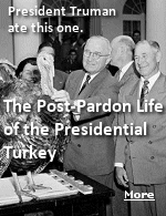 The tradition of presenting the president with a turkey began in 1947 during Harry Trumans first term. But Truman didnt pardon that turkey, he ate it.